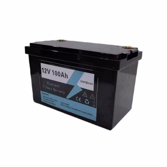 Remplacez le module de batterie au lithium-ion du pack de stockage d'énergie solaire AGM 12,8 V 100 Ah